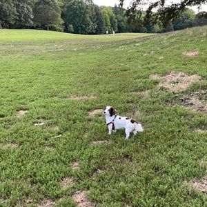 Meet your Posher, Lucy